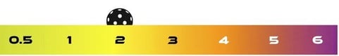 2.0